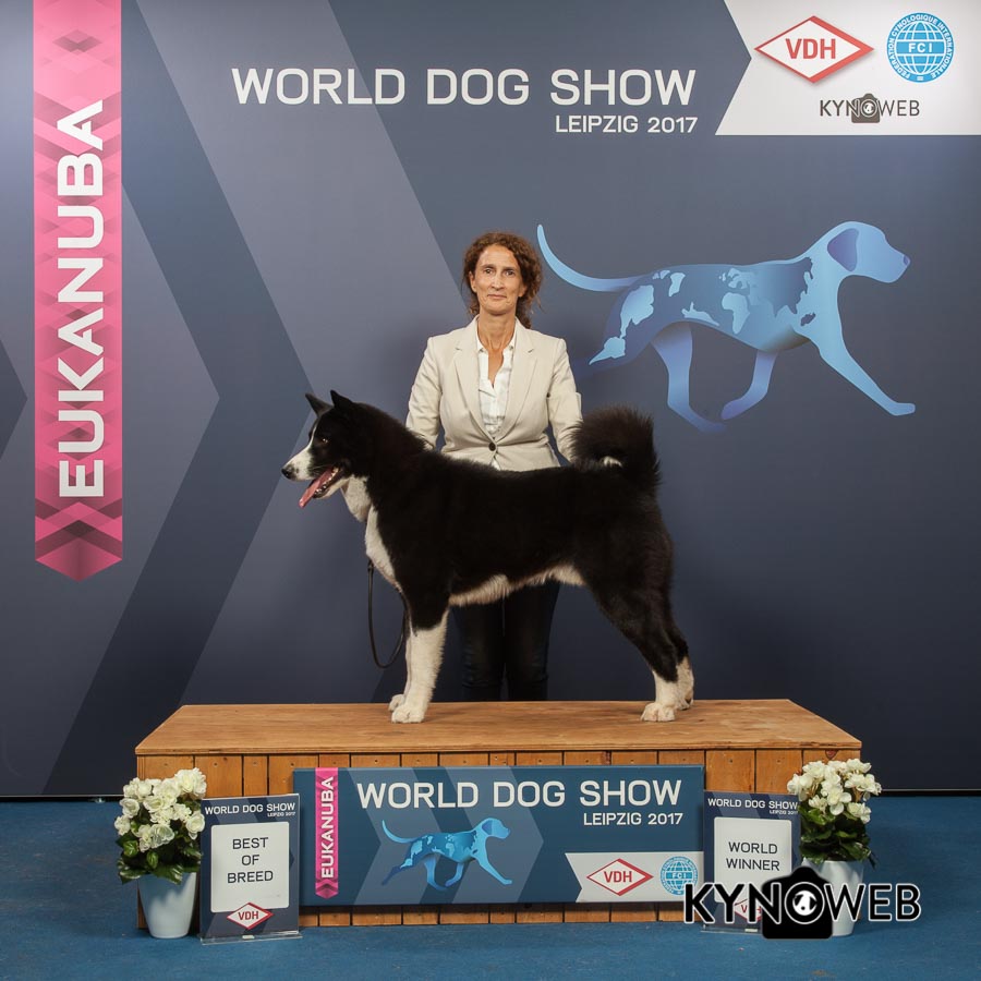 BEST_OF_BREED_8178_WORLD_DOG-SHOW_Kynoweb_Ernst-von-Scheven_20171110_16_00_06