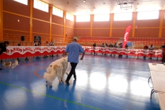 DSCN3025