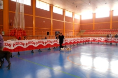 DSCN3033