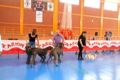 DSCN3034