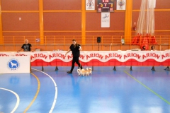 DSCN3037