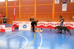 DSCN3038