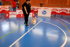 DSCN3039