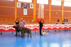 DSCN3041