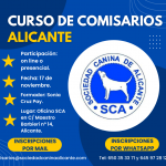 Curso de comisario.