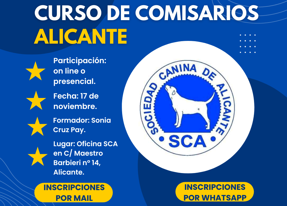 Curso de comisario.