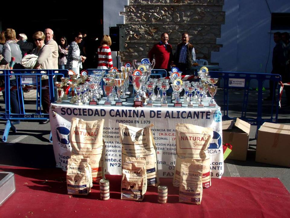 CALENDARIO CONCURSOS 2016