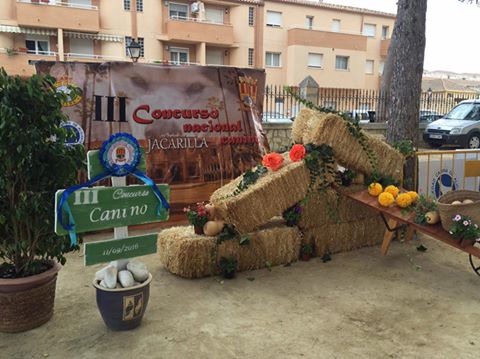 Fotos concurso Jacarilla 2016