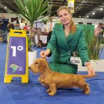 Alicantinos triunfando en WDS Brasil