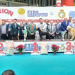 Resultados, fotografías y vídeos Expos 2022