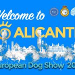 Campeonato de Europa 2027 en Alicante