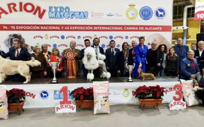 Fotos expo internacional 2023