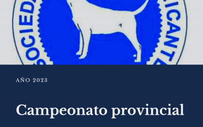 Resultados campeonato provincial 2023
