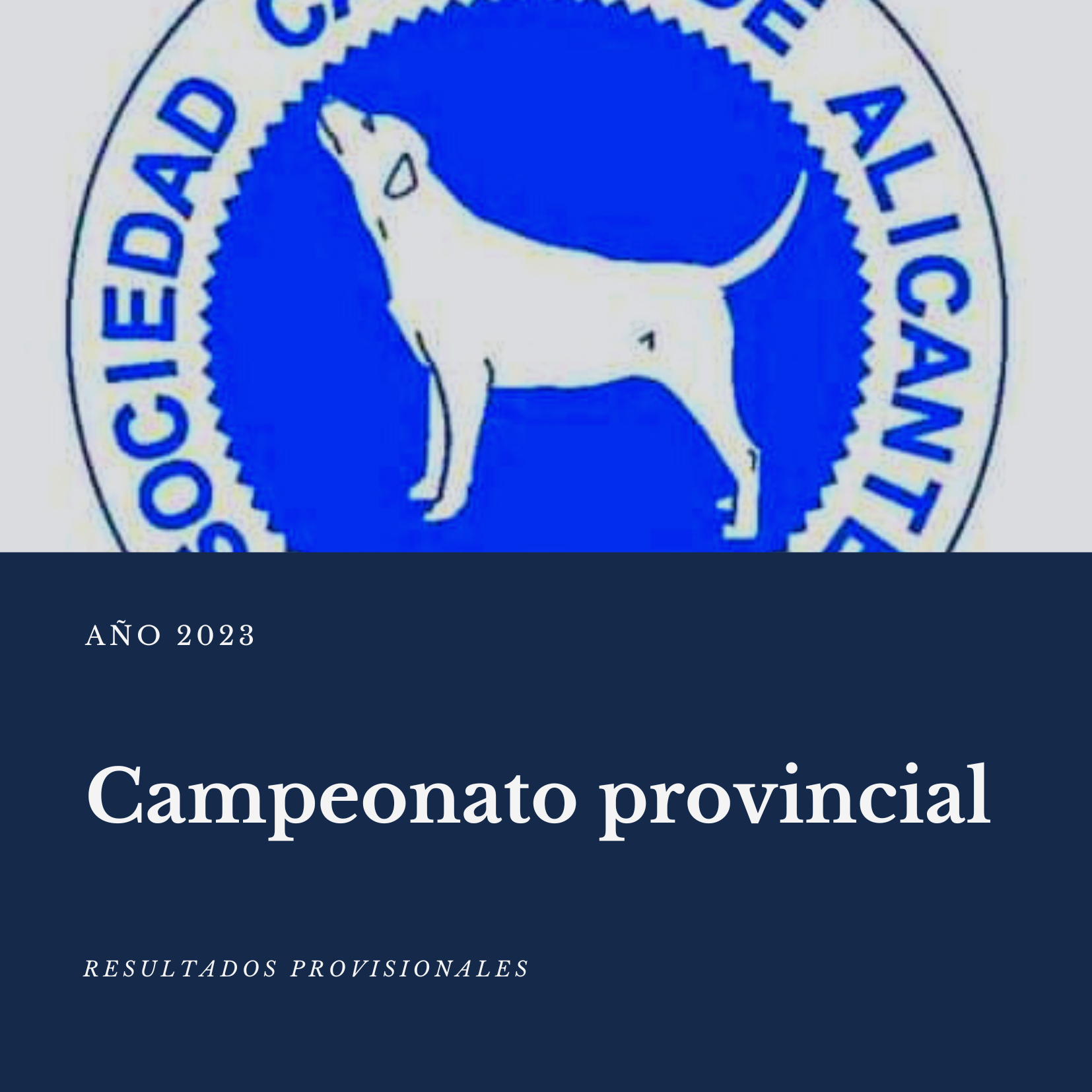 Resultados campeonato provincial 2023