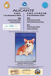 Cartel-Expo-2013