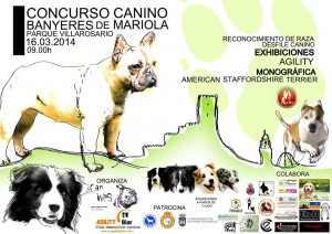 Concurso-2014-BANYERES-cartel