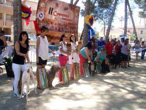 DESFILE