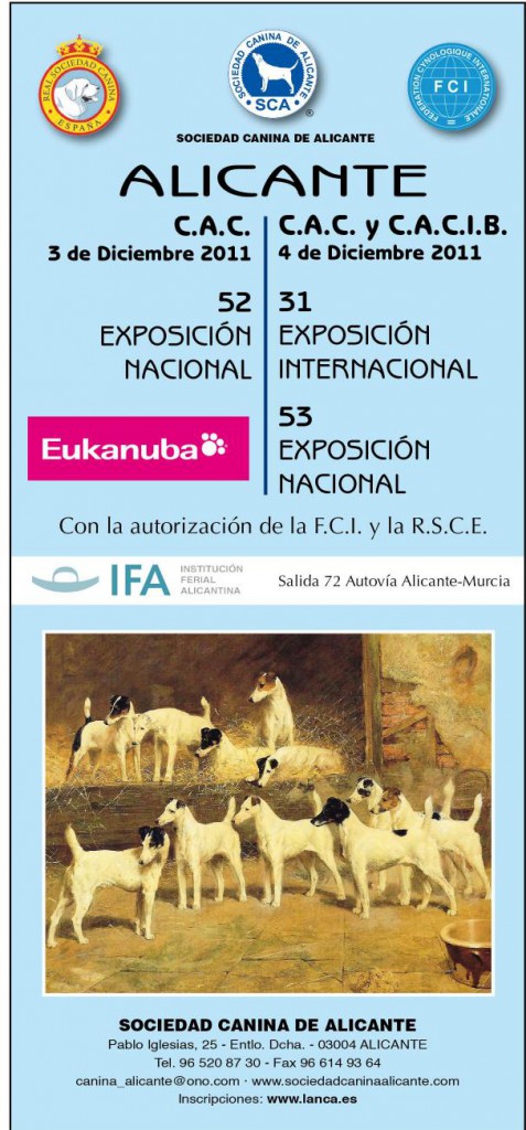 Exposicion-Expo2011-1