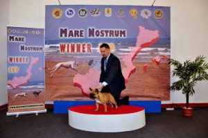 Mare_Nostrum (15)