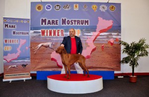 Mare_Nostrum (16)