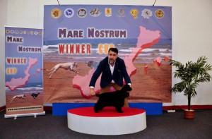 Mare_Nostrum (17)