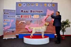 Mare_Nostrum (18)