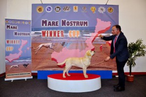 Mare_Nostrum (19)