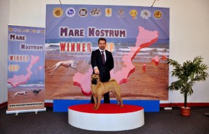 Mare_Nostrum (22)