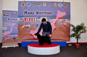 Mare_Nostrum (23)