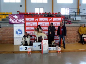 SAM_0488