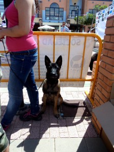 SAM_0963