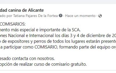 Comisarios Alicante 2022