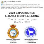 Latin winner y clasificatoria Crufts