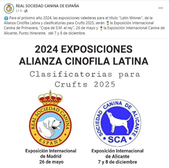 Latin winner y clasificatoria Crufts