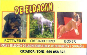 Socios-DeEldacan