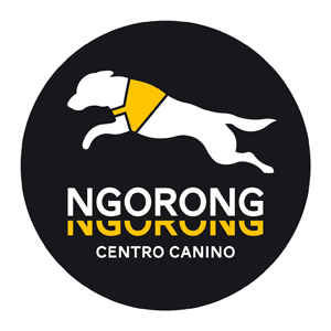 Socios-Ngorong