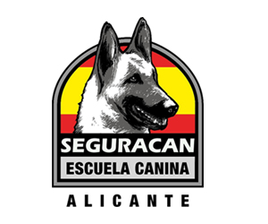 Socios-Seguracan