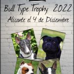 Bull type Trophy 2022