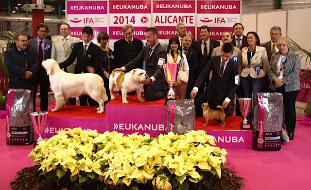 Resultados y fotos CAC y CACIB 2014