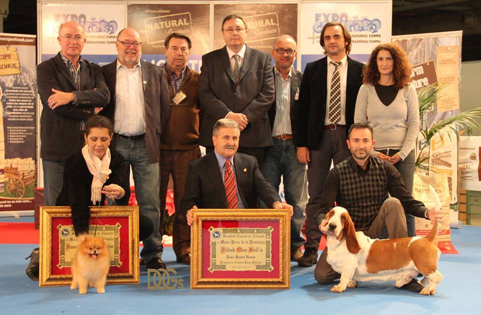 Calendario de concursos Campeonato Provincial y Exposiciones CAC y CACIB 2014