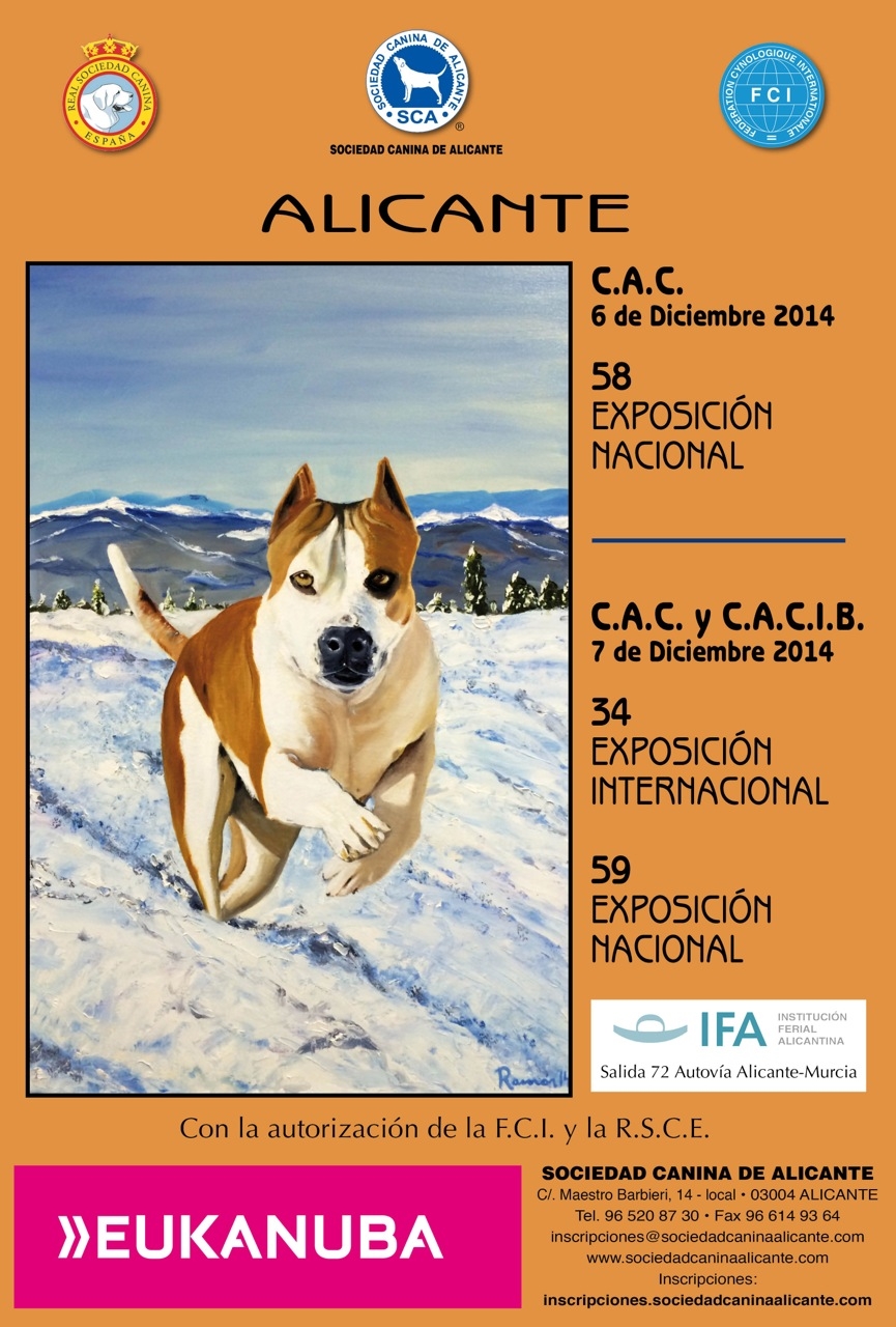 Exposiciones nacional e internacional 6 y 7 de Diciembre 2014