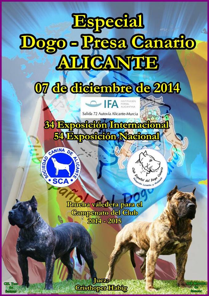 Especial Dogo canario en nuestras expos