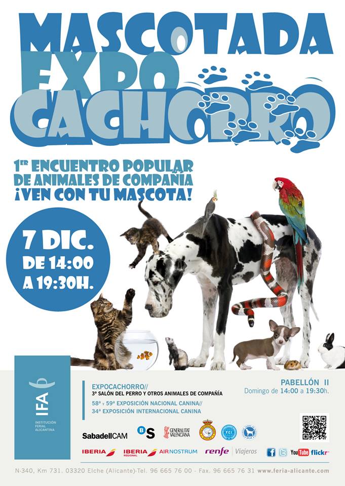 Expo cachorro IFA