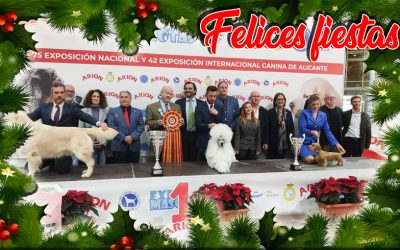 Felices fiestas