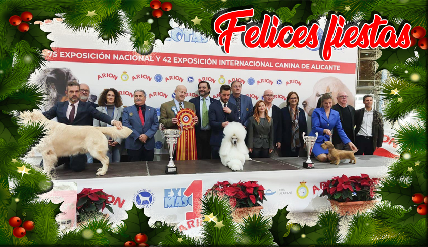 Felices fiestas