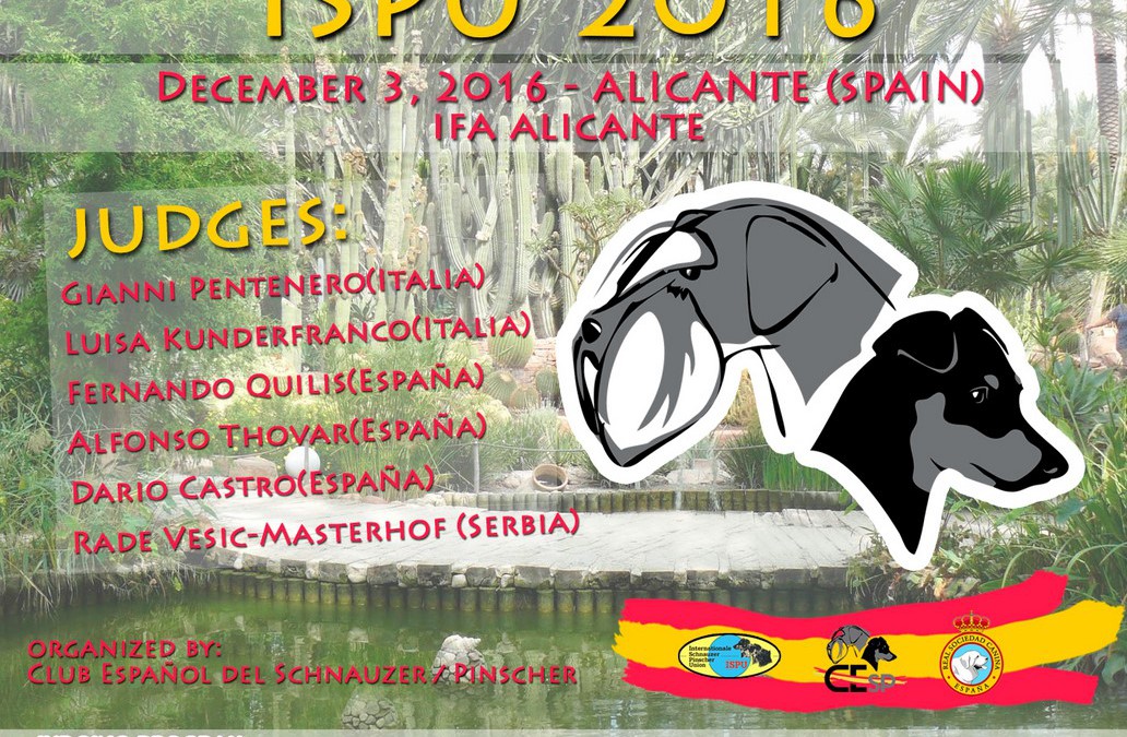 Otros eventos en las expos de Alicante 2016