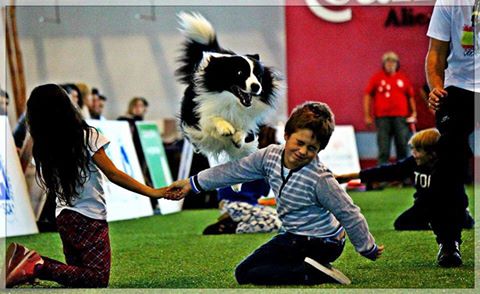 Ganadores II concurso fotografía Sociedad canina de Alicante