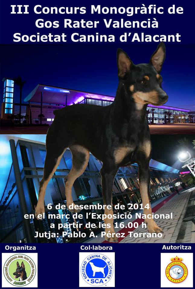 concurso-monogr-fico-gos-rater-valenci-sociedad-canina-de-alicante