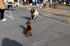 DSCN1205