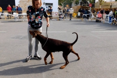DSCN1230